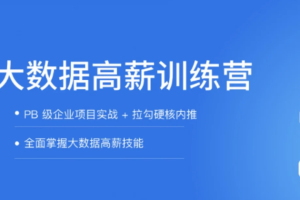 拉钩-大数据开发高薪训练营14期|2022年|重磅首发|完结无秘