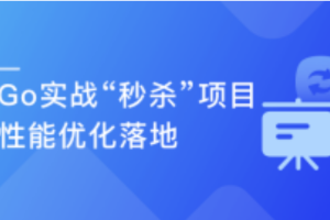 全流程开发 GO实战电商网站高并发秒杀系统(完结）