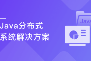 Java分布式系统解决方案 掌握企业级分布式项目方案（完结）