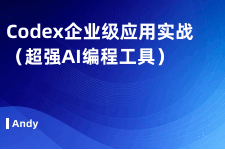 Codex企业级应用实战